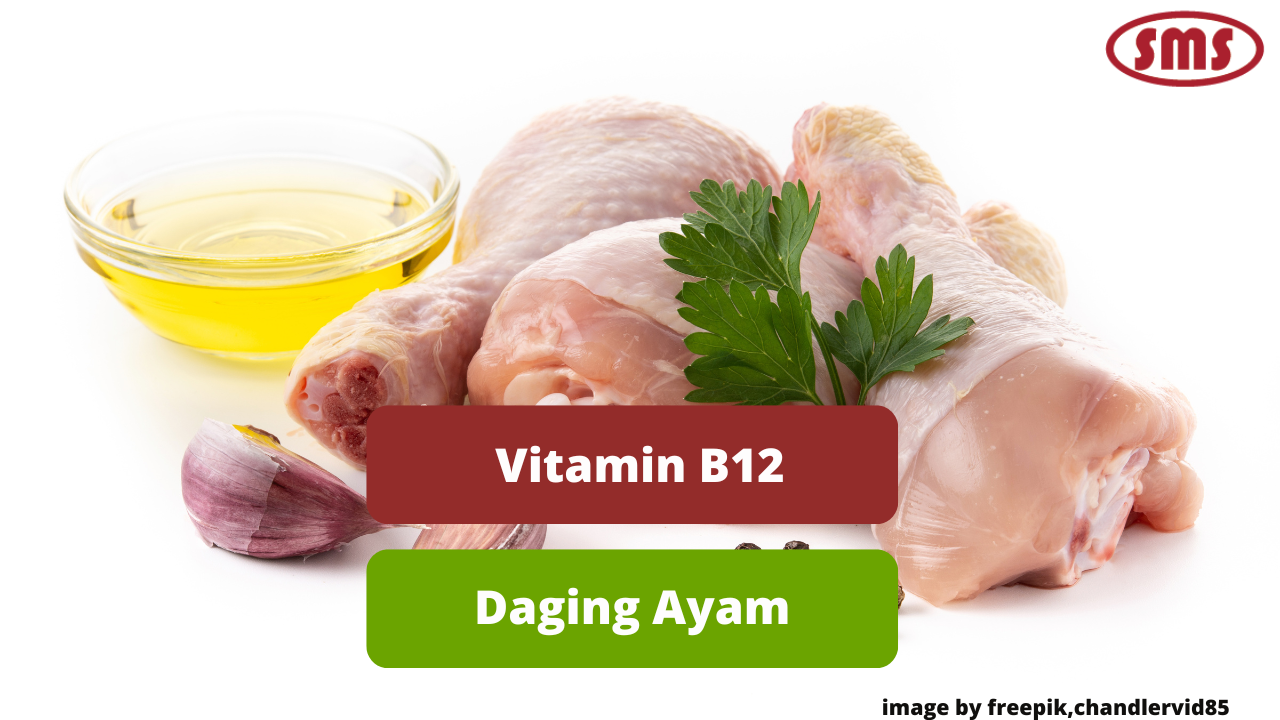 Ketahui Beragam Manfaat Vitamin B12 Dalam Daging Ayam